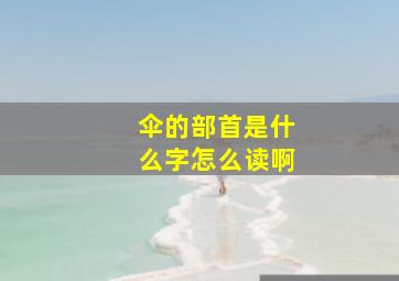 伞的部首是什么字怎么读啊