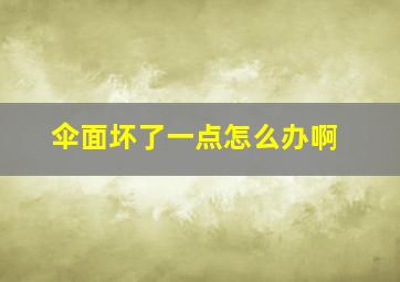 伞面坏了一点怎么办啊