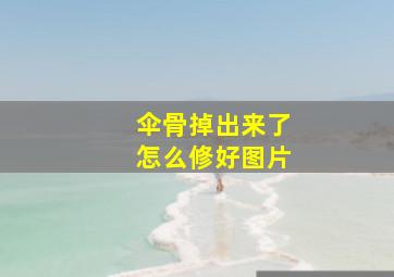 伞骨掉出来了怎么修好图片