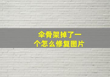 伞骨架掉了一个怎么修复图片