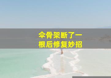 伞骨架断了一根后修复妙招