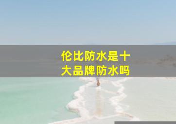 伦比防水是十大品牌防水吗