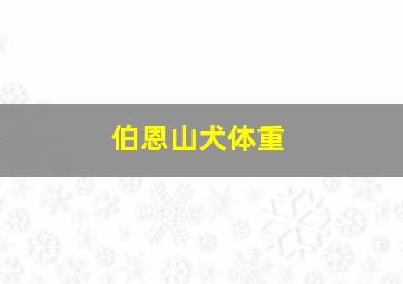 伯恩山犬体重