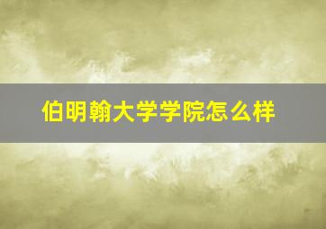 伯明翰大学学院怎么样