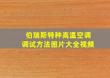 伯瑞斯特种高温空调调试方法图片大全视频