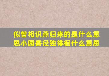 似曾相识燕归来的是什么意思小园香径独徘徊什么意思