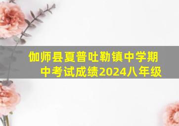 伽师县夏普吐勒镇中学期中考试成绩2024八年级