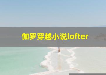 伽罗穿越小说lofter