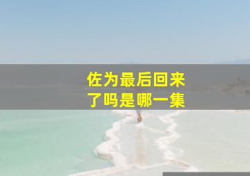 佐为最后回来了吗是哪一集