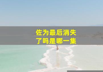 佐为最后消失了吗是哪一集