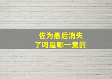 佐为最后消失了吗是哪一集的