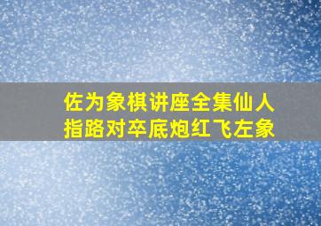 佐为象棋讲座全集仙人指路对卒底炮红飞左象