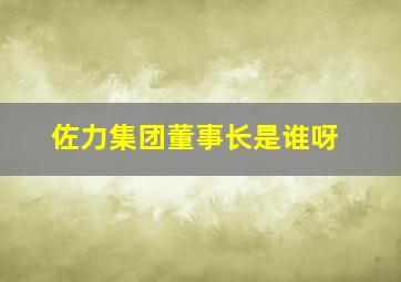 佐力集团董事长是谁呀