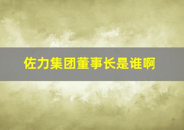 佐力集团董事长是谁啊