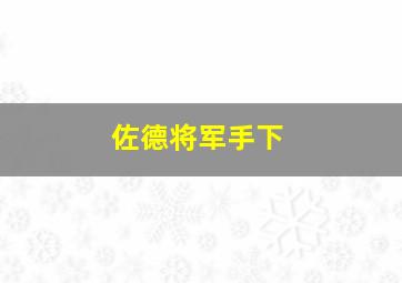 佐德将军手下