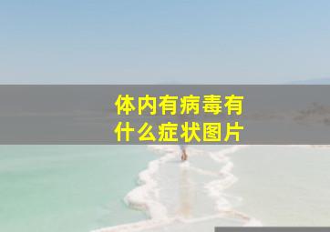 体内有病毒有什么症状图片