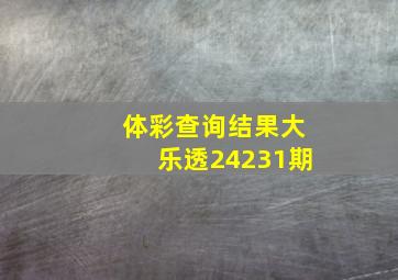 体彩查询结果大乐透24231期