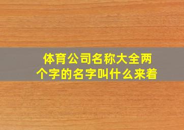 体育公司名称大全两个字的名字叫什么来着