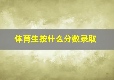 体育生按什么分数录取