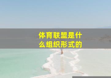 体育联盟是什么组织形式的