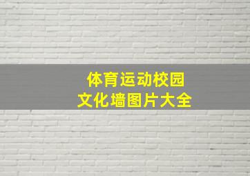 体育运动校园文化墙图片大全