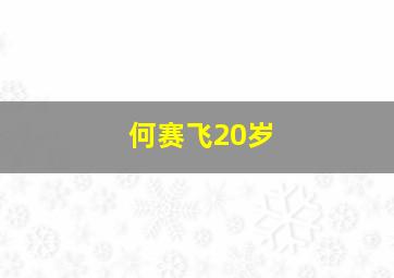 何赛飞20岁