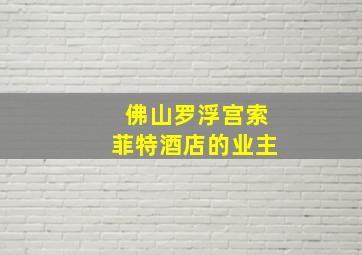 佛山罗浮宫索菲特酒店的业主