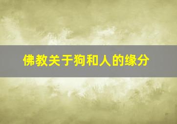 佛教关于狗和人的缘分