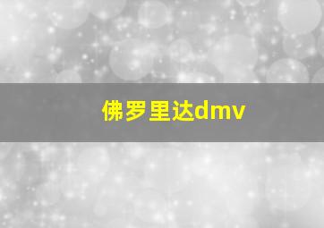 佛罗里达dmv