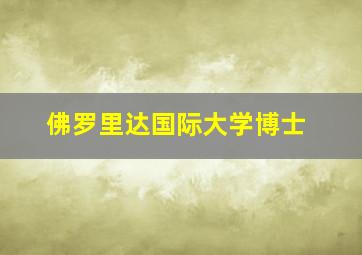 佛罗里达国际大学博士