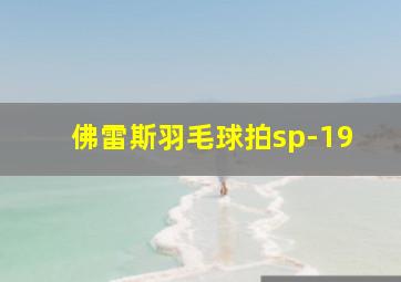 佛雷斯羽毛球拍sp-19