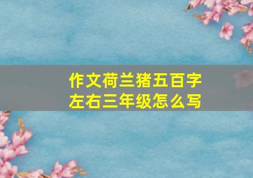 作文荷兰猪五百字左右三年级怎么写