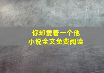 你却爱着一个他小说全文免费阅读