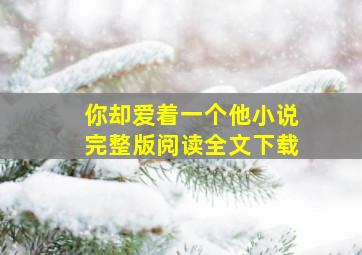 你却爱着一个他小说完整版阅读全文下载