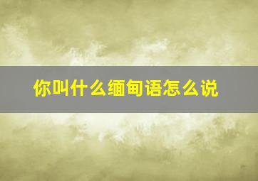 你叫什么缅甸语怎么说