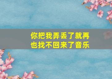 你把我弄丢了就再也找不回来了音乐