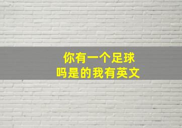 你有一个足球吗是的我有英文