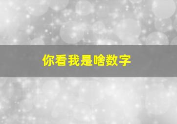 你看我是啥数字