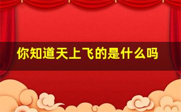 你知道天上飞的是什么吗