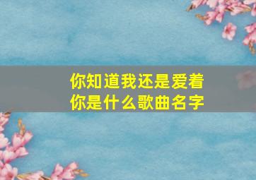 你知道我还是爱着你是什么歌曲名字