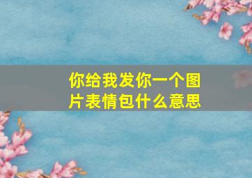 你给我发你一个图片表情包什么意思