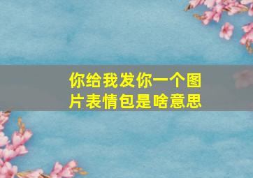 你给我发你一个图片表情包是啥意思