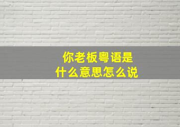 你老板粤语是什么意思怎么说