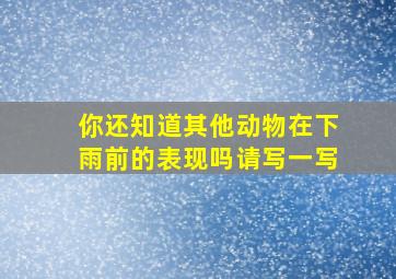 你还知道其他动物在下雨前的表现吗请写一写