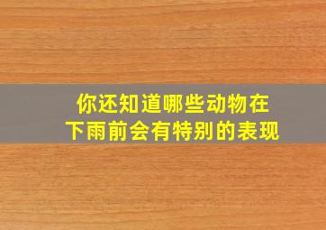 你还知道哪些动物在下雨前会有特别的表现