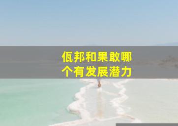 佤邦和果敢哪个有发展潜力