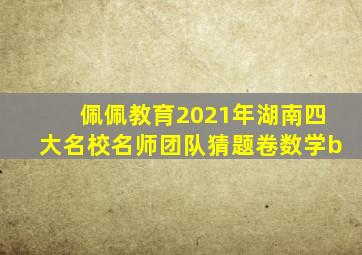 佩佩教育2021年湖南四大名校名师团队猜题卷数学b