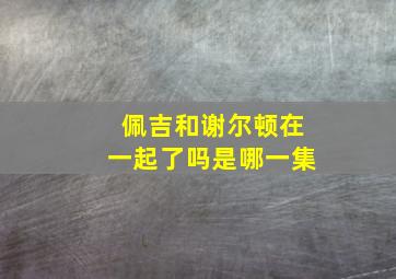 佩吉和谢尔顿在一起了吗是哪一集