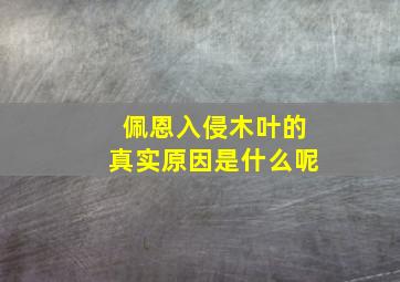 佩恩入侵木叶的真实原因是什么呢