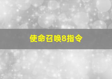 使命召唤8指令